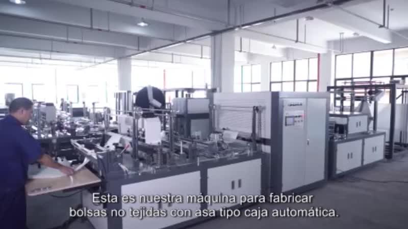 Máquina para fabricar bolsas no tejidas con asa WFB-BT600